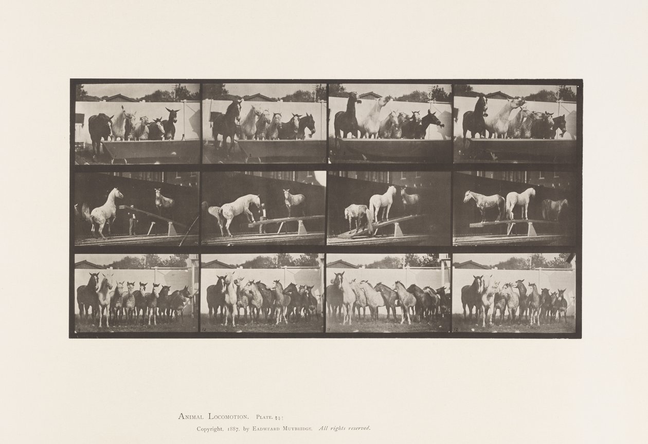 Placa 651. A, Tocando la campana; B, Tabla de equilibrio; C, Ejercicio militar de Eadweard Muybridge
