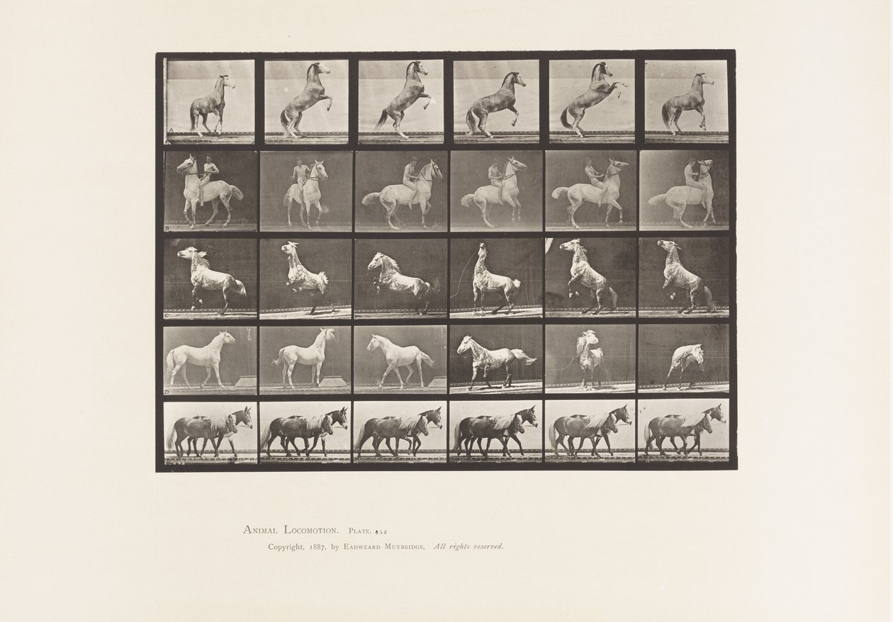 Placa 652. A, B, C, D, E, Caballos Encabritados, etc. de Eadweard Muybridge