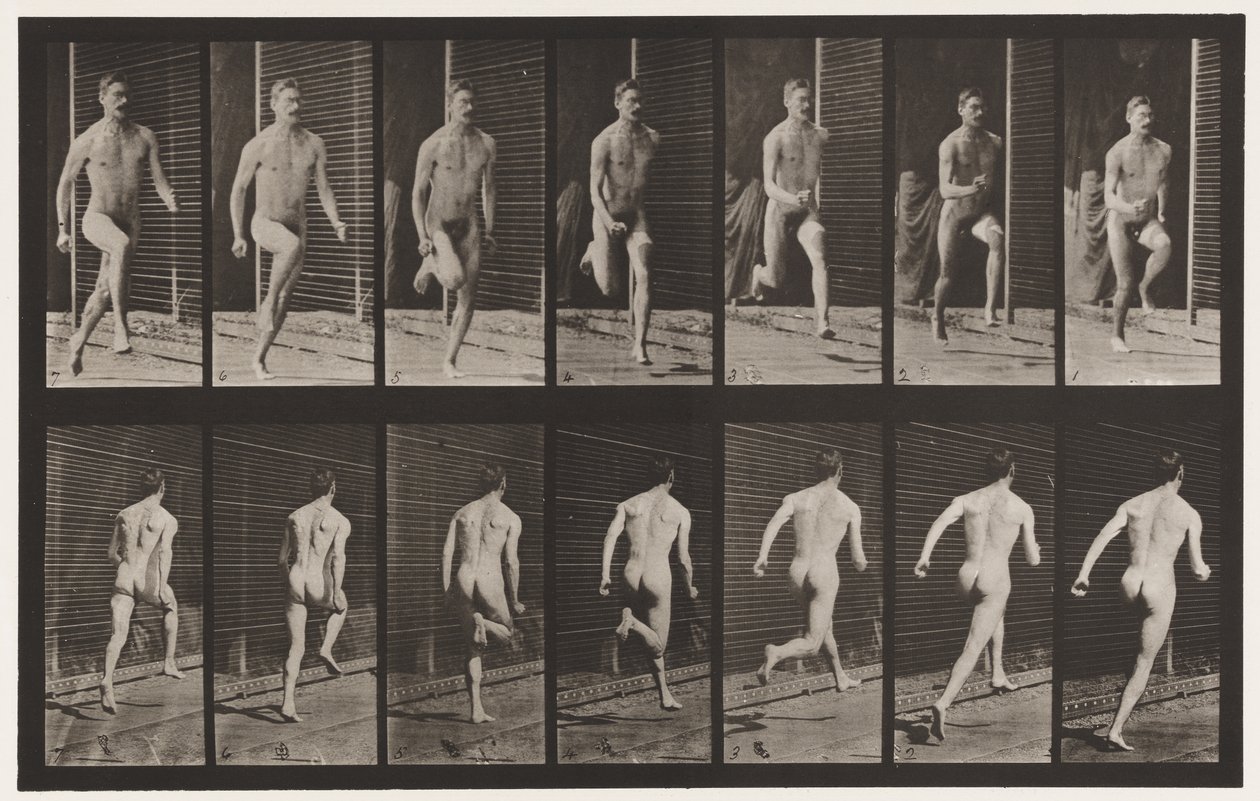 Placa 66. Corriendo de Eadweard Muybridge