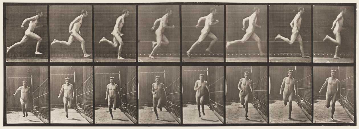 Placa 67. Corriendo de Eadweard Muybridge
