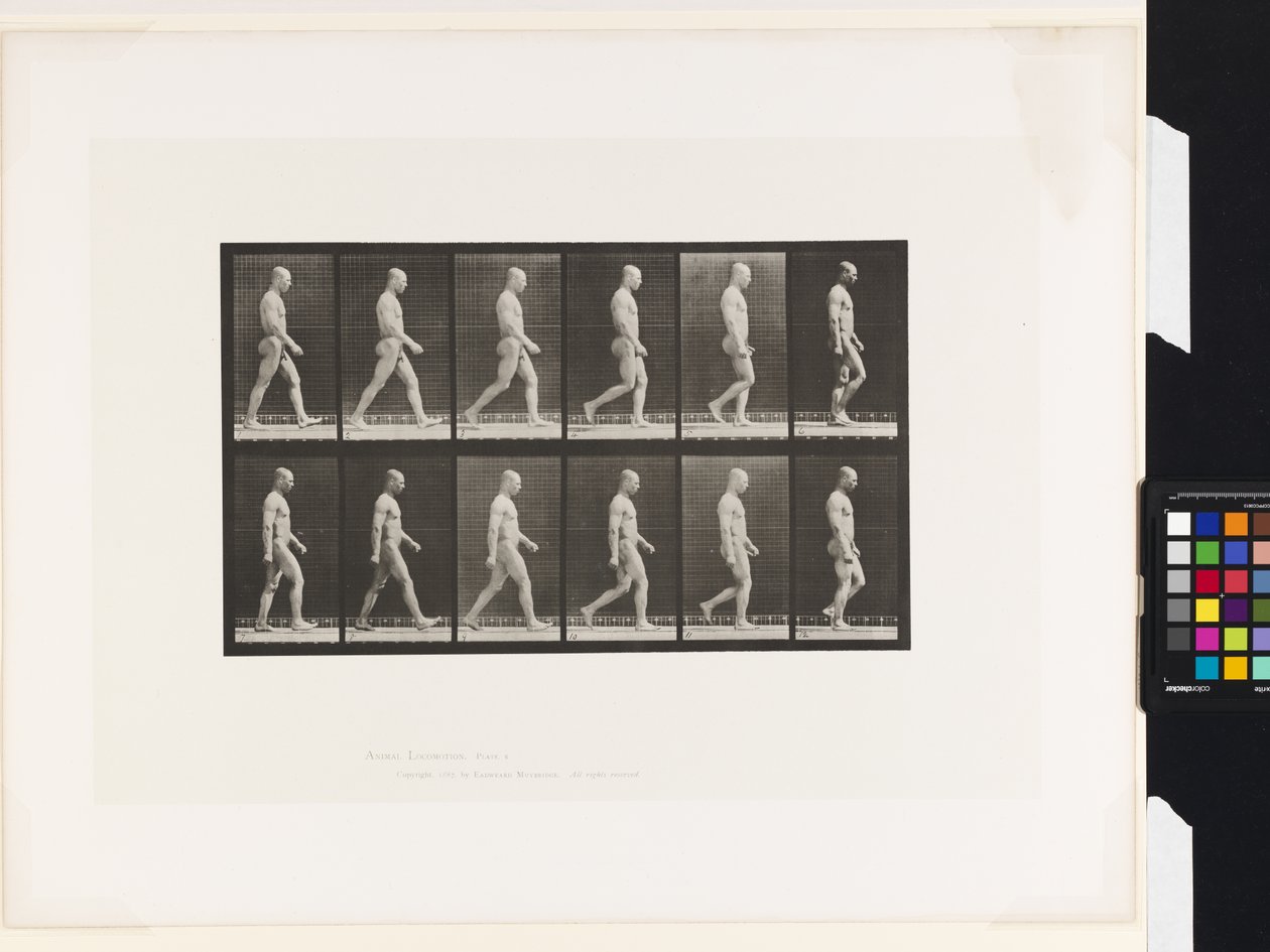 Placa 6. Caminando de Eadweard Muybridge
