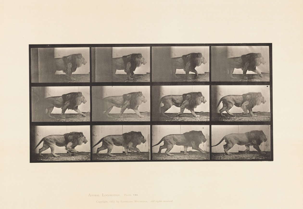Placa 722. León; Caminando de Eadweard Muybridge
