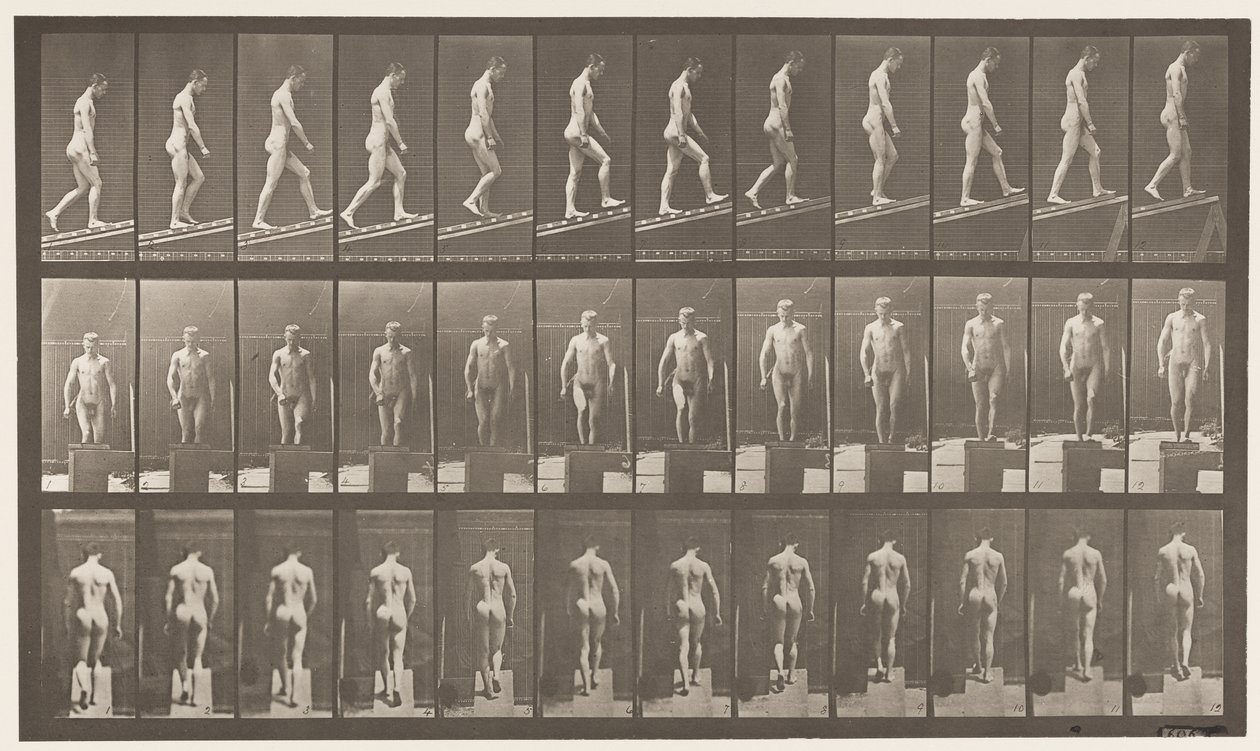 Placa 74. Ascendiendo pendiente, ángulo 1 en 4 de Eadweard Muybridge