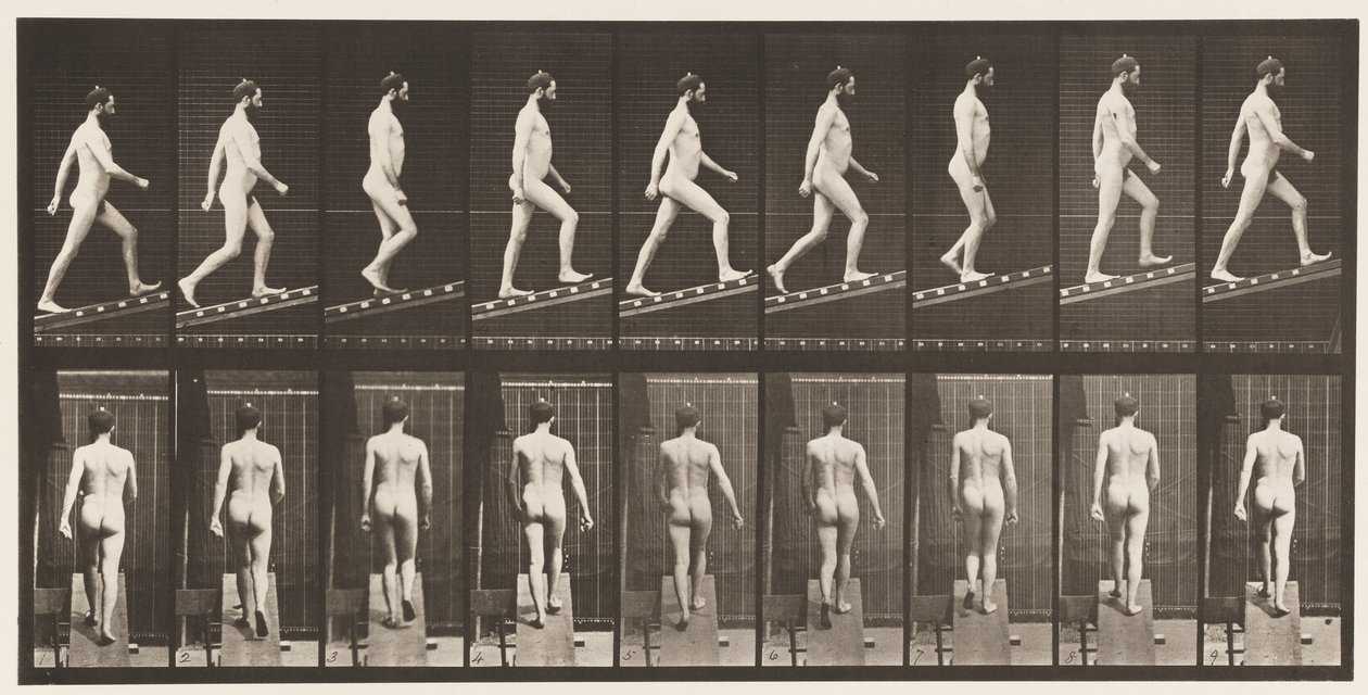 Placa 75. Subiendo una pendiente, ángulo 1 en 4 de Eadweard Muybridge