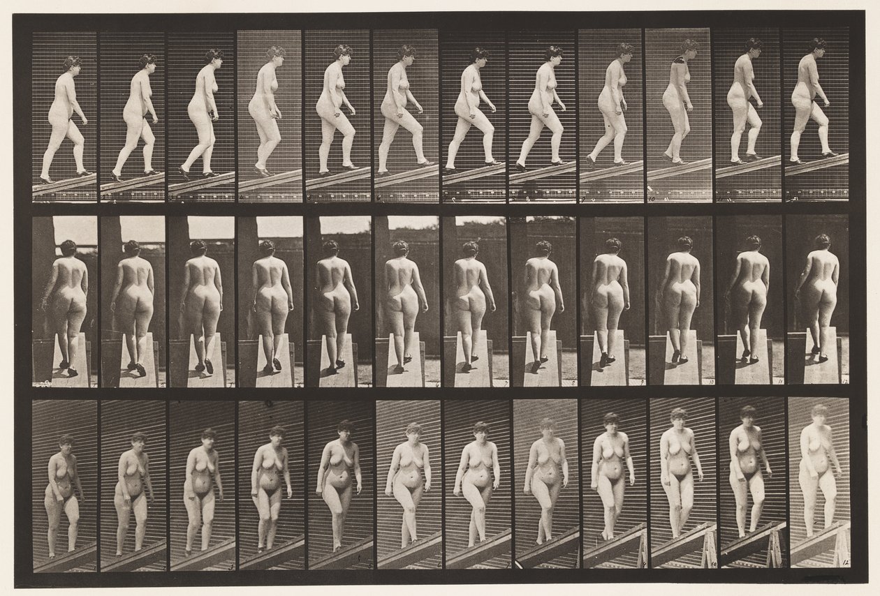 Placa 86. Subiendo inclinación de Eadweard Muybridge