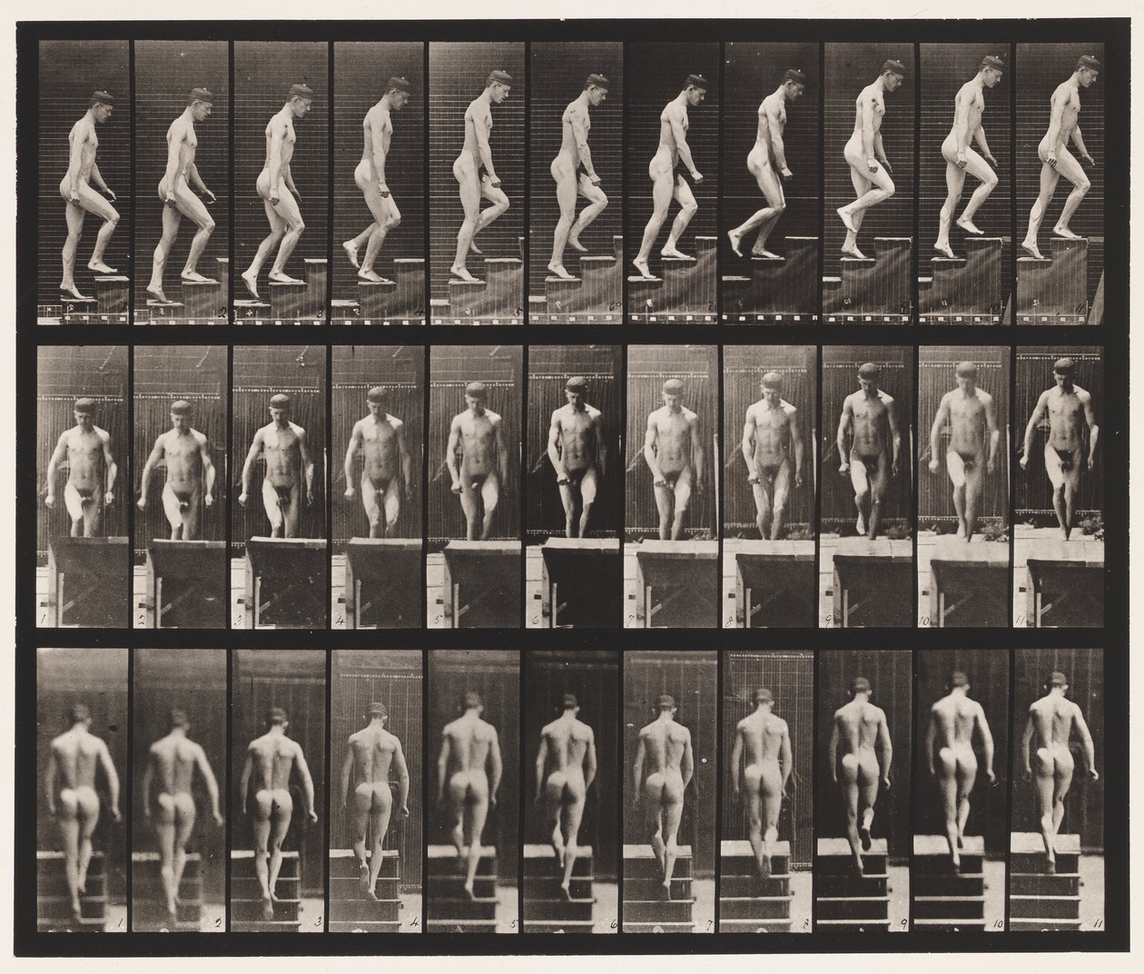 Placa 88. Subiendo escaleras de Eadweard Muybridge