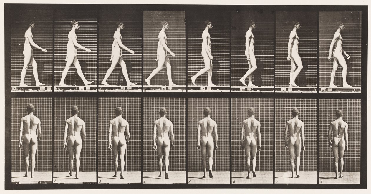 Placa 8. Caminando de Eadweard Muybridge