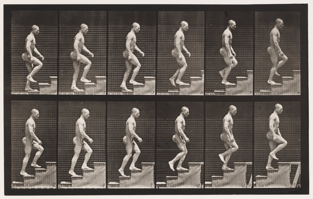 Placa 91. Subiendo escaleras de Eadweard Muybridge