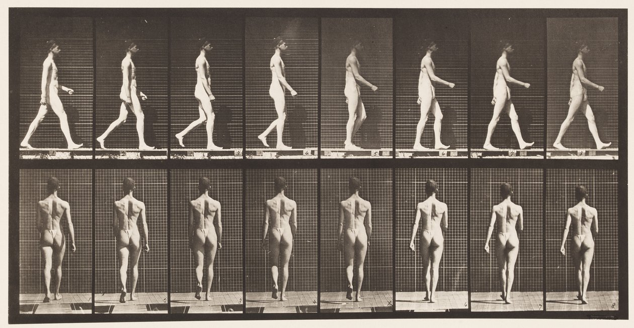 Placa 9. Caminando, 1872-1885 de Eadweard Muybridge