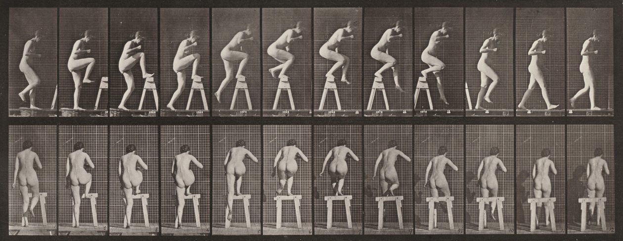 Lámina número 178. Subiendo a un caballete y pasándolo de Eadweard Muybridge