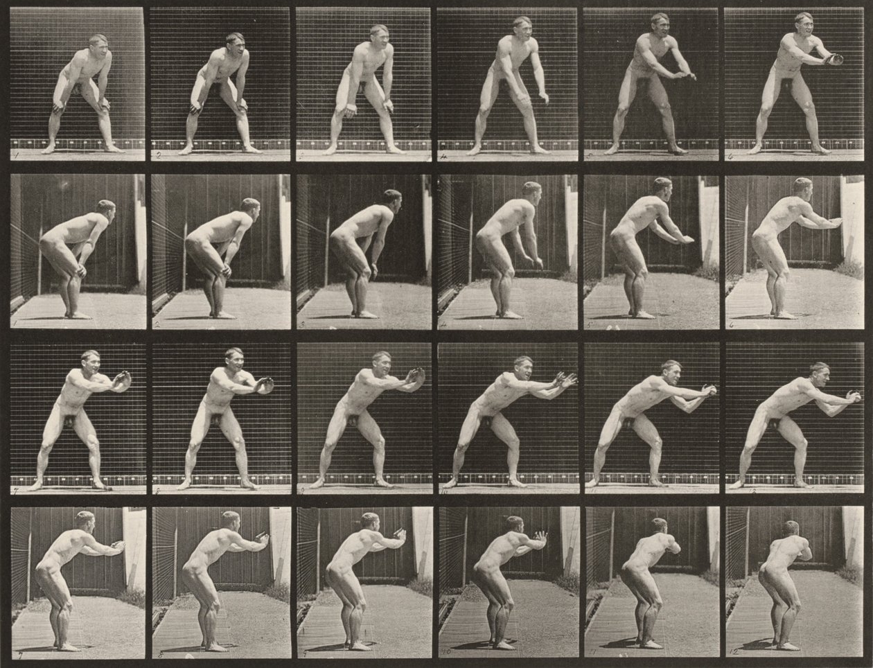 Lámina número 280. Béisbol, recepción de Eadweard Muybridge