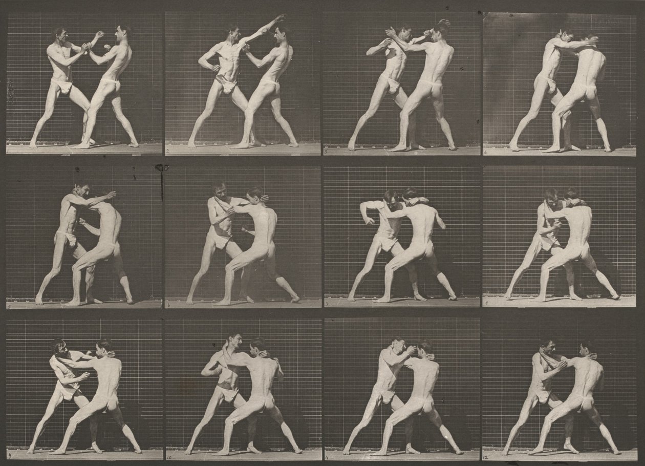 Lámina número 340. Boxeo, mano abierta de Eadweard Muybridge