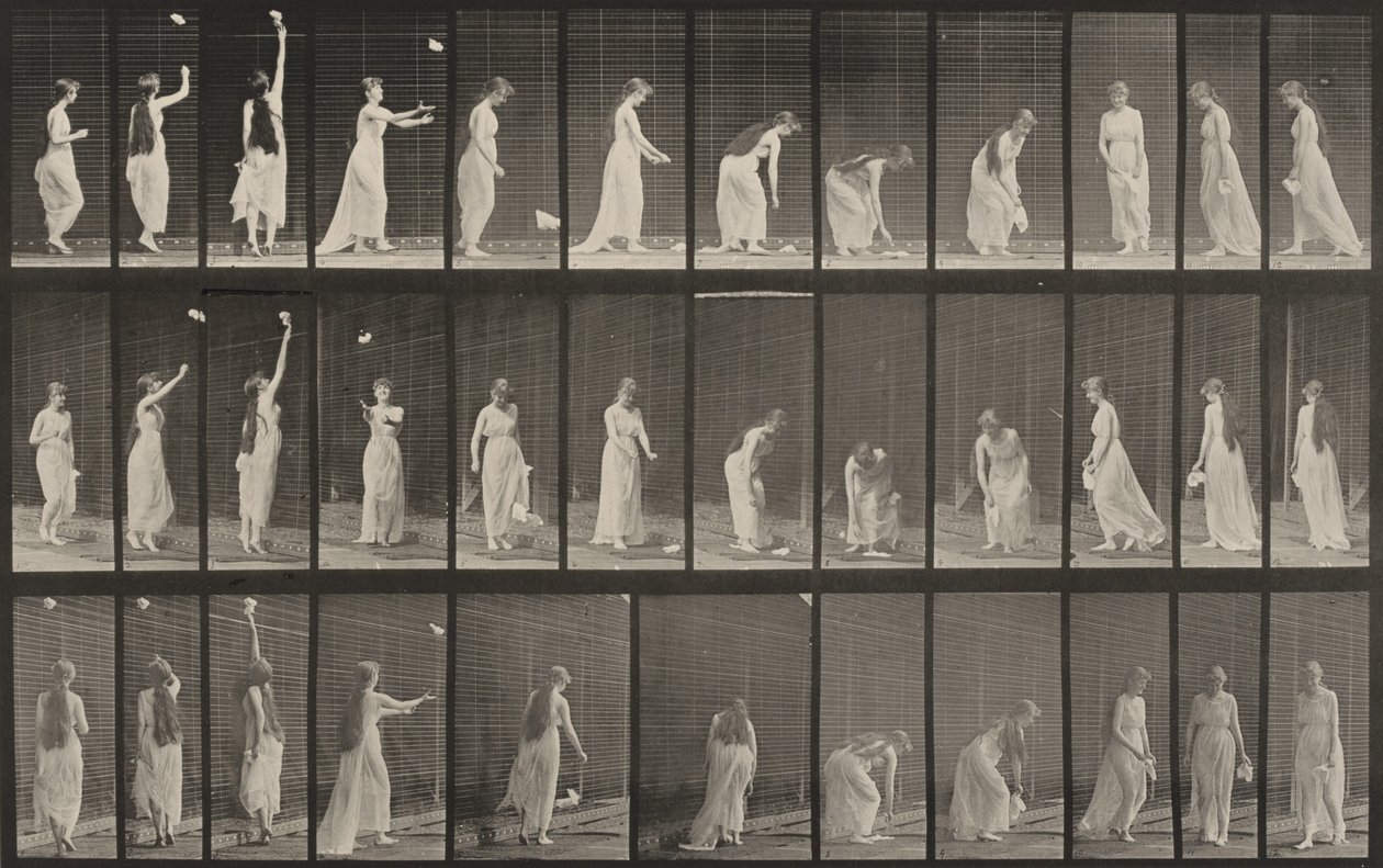 Lámina número 463. Estirarse, agacharse y darse la vuelta de Eadweard Muybridge