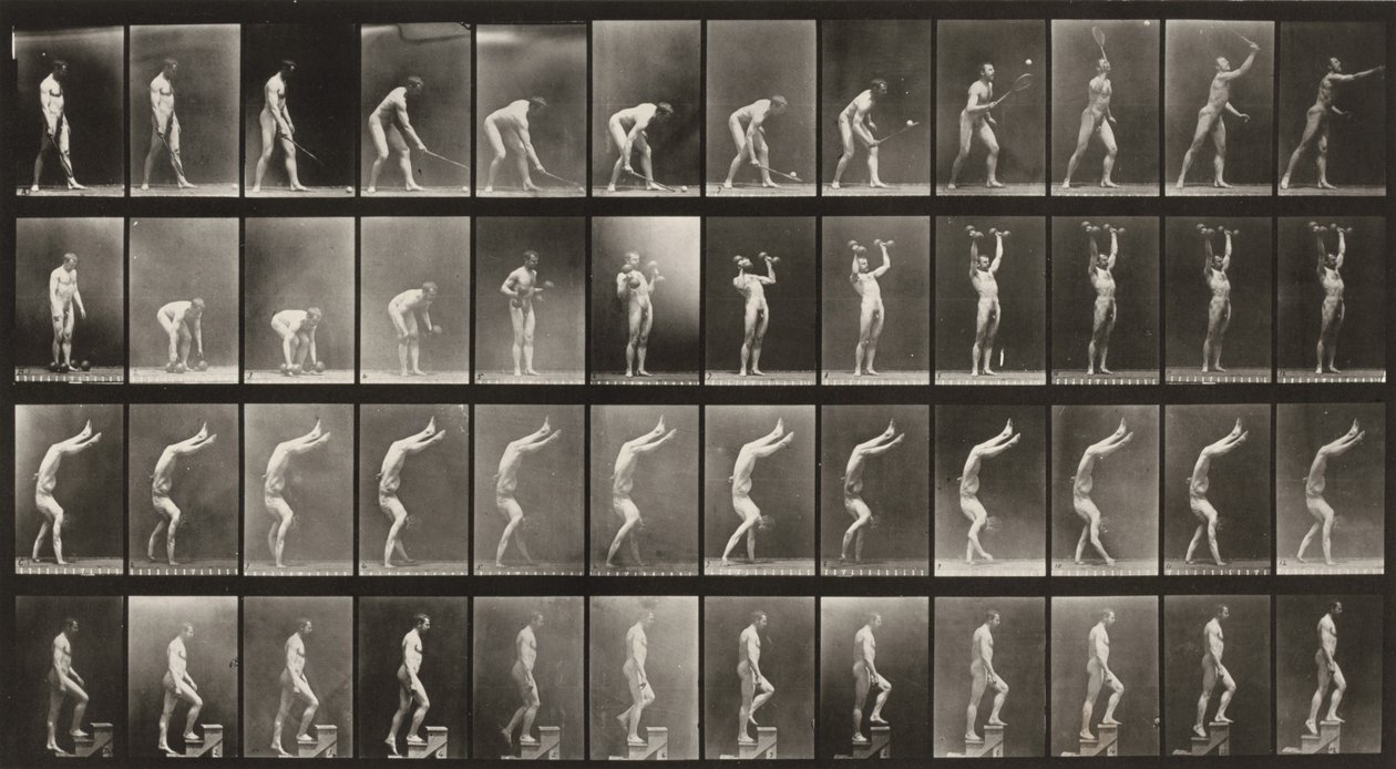 Lámina número 488. A: Tenis sobre hierba. B: Mancuernas. C: Caminar sobre las manos. D: Subir escaleras de Eadweard Muybridge