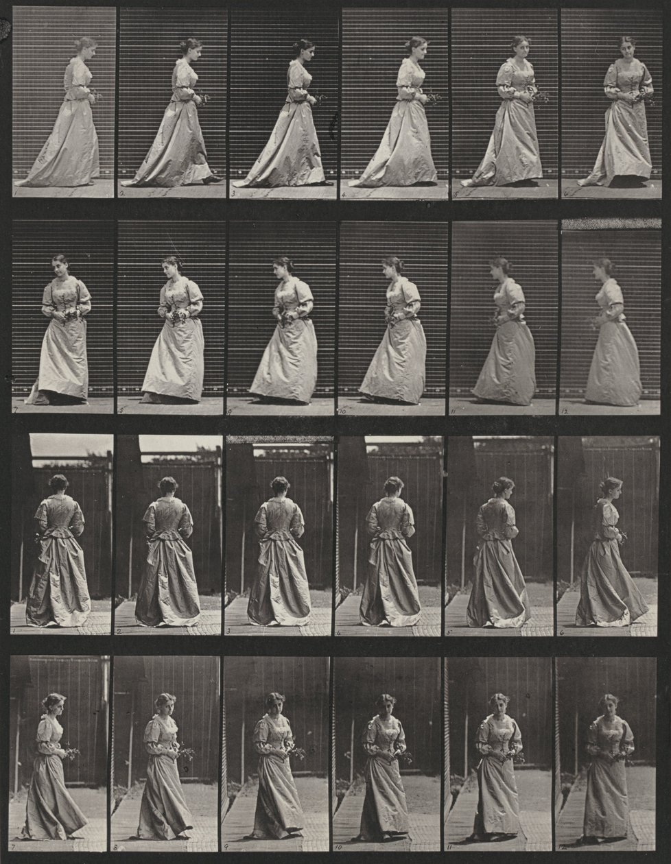 Lámina número 48. Caminar y darse la vuelta con un ramo en ambas manos de Eadweard Muybridge