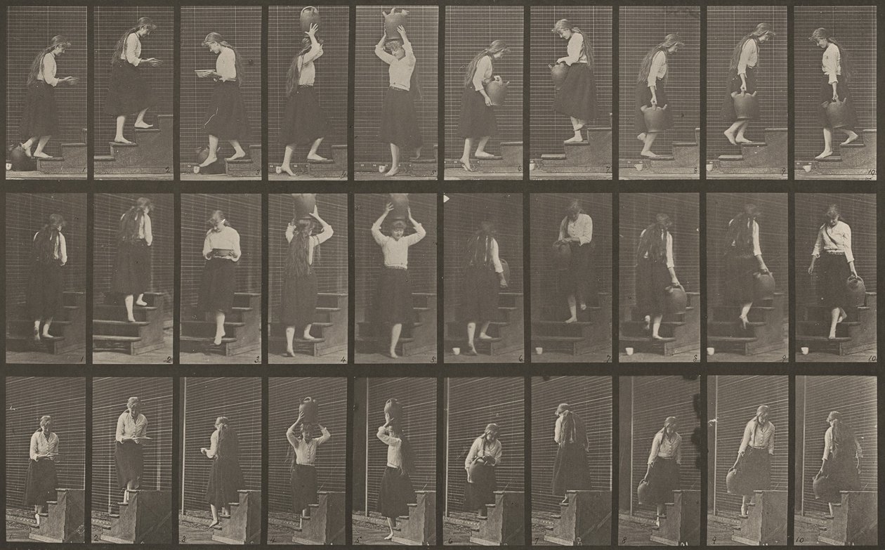 Placa número 504. Escaleras ascendentes y descendentes de Eadweard Muybridge