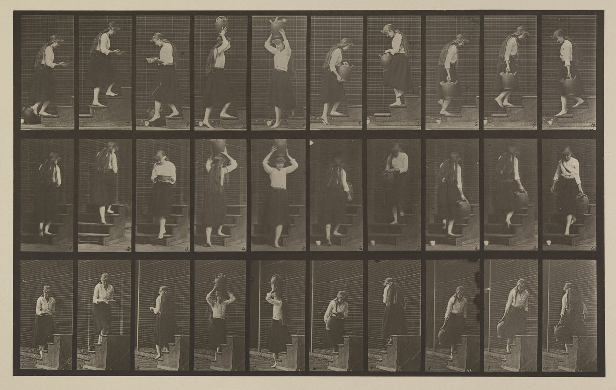 Placa número 504. Escaleras ascendentes y descendentes de Eadweard Muybridge