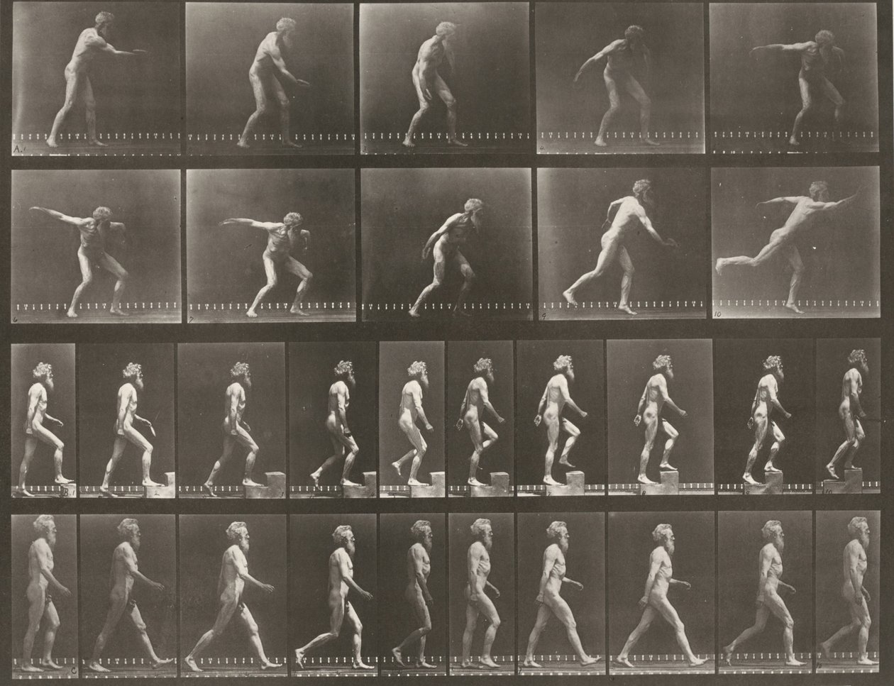 Lámina número 519. A: Lanzar un disco. B: Subir un escalón. C: Caminar de Eadweard Muybridge