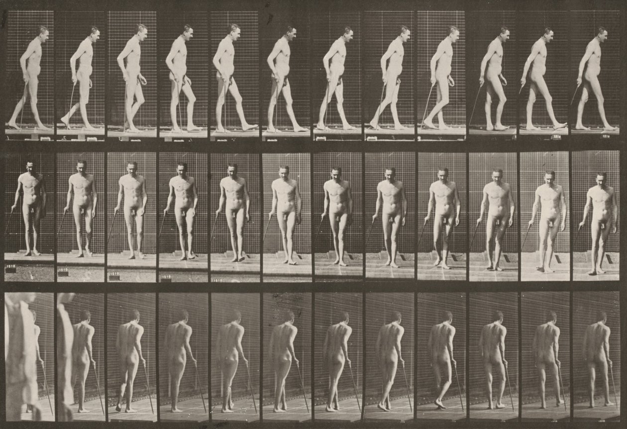 Lámina número 559. Paraplejia parcial, caminar con bastón de Eadweard Muybridge