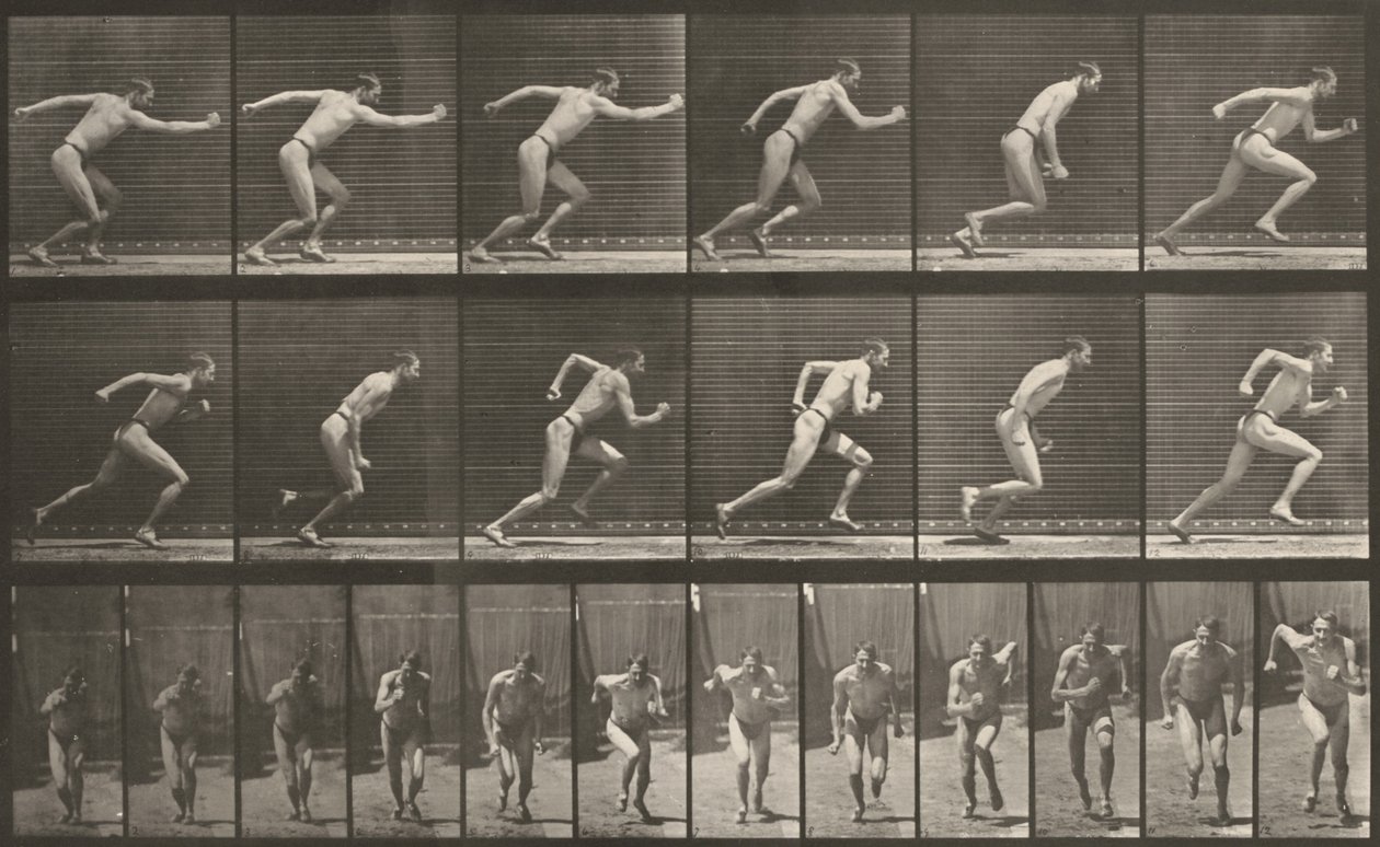 Lámina número 59. Inicio de una carrera de Eadweard Muybridge