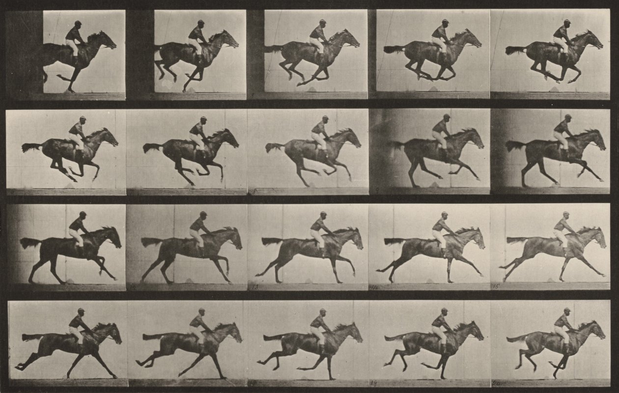 Lámina número 627. «Annie G.» al galope de Eadweard Muybridge
