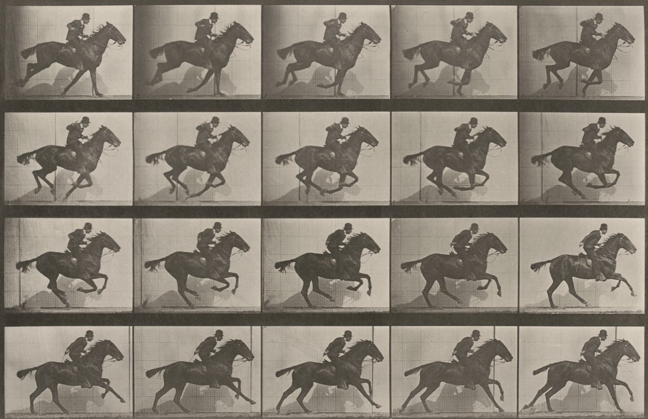 Lámina número 628. «Daisy» al galope de Eadweard Muybridge