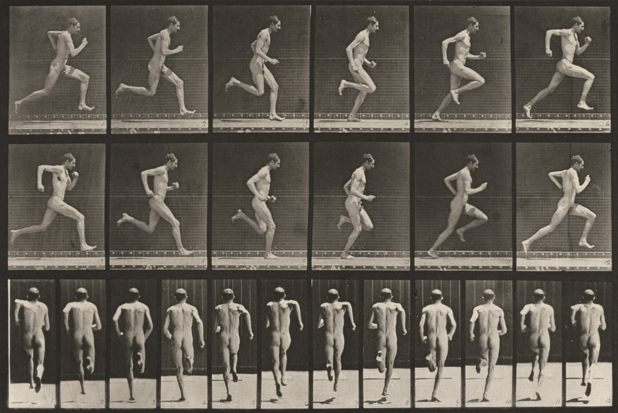 Lámina número 62. Carrera a toda velocidad de Eadweard Muybridge