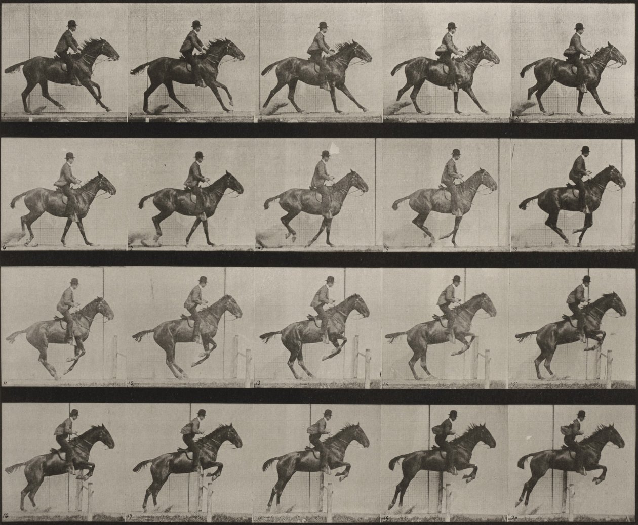 Lámina número 636. «Daisy» salta una valla, ensillada, preparándose para el salto de Eadweard Muybridge