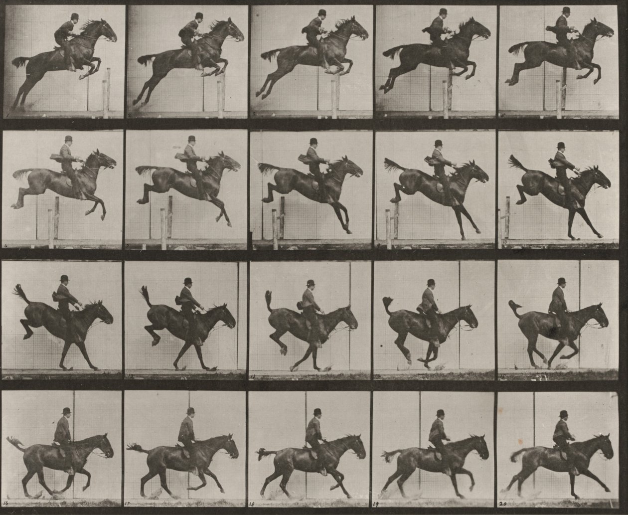 Lámina número 637. «Daisy» saltando una valla, ensillada, al franquearla, aterrizar y recuperarse de Eadweard Muybridge
