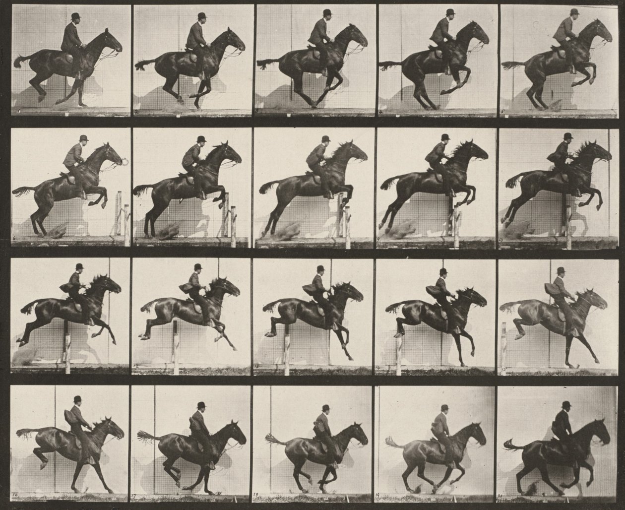 Lámina número 640. «Daisy» saltando una valla, ensillada de Eadweard Muybridge