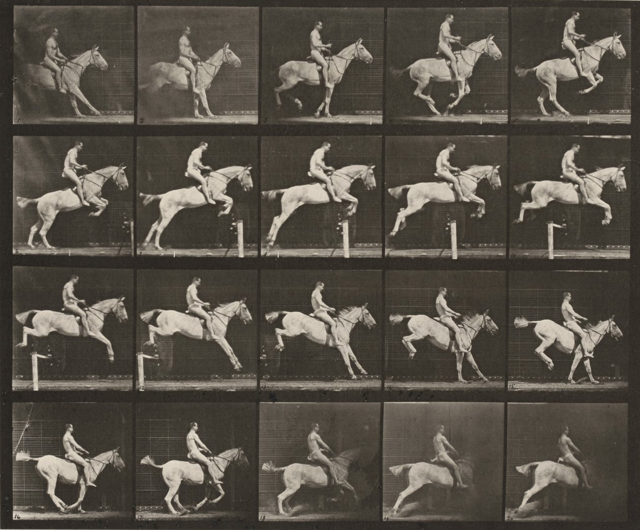 Lámina número 642. «Pandora» saltando una valla, ensillada; jinete desnudo de Eadweard Muybridge