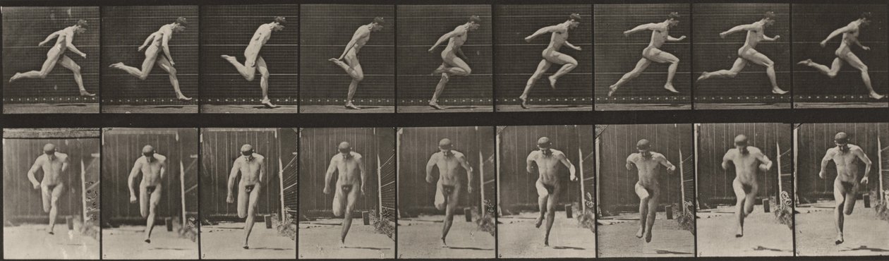 Lámina número 68. Carrera de Eadweard Muybridge
