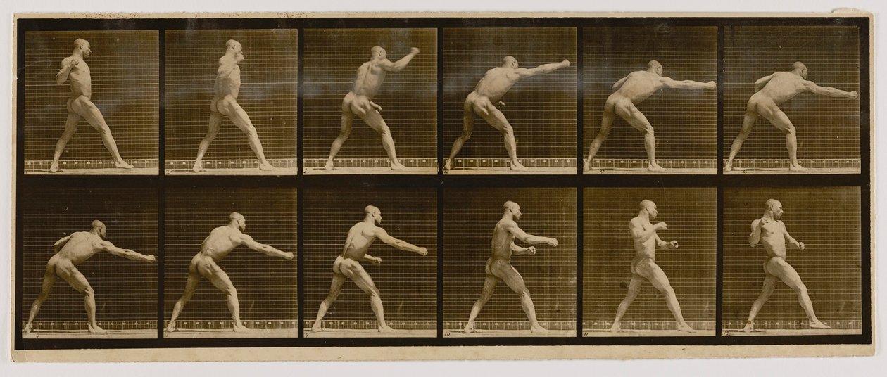 Pugilist Striking a Blow, del libro Animal Locomotion de Eadweard Muybridge