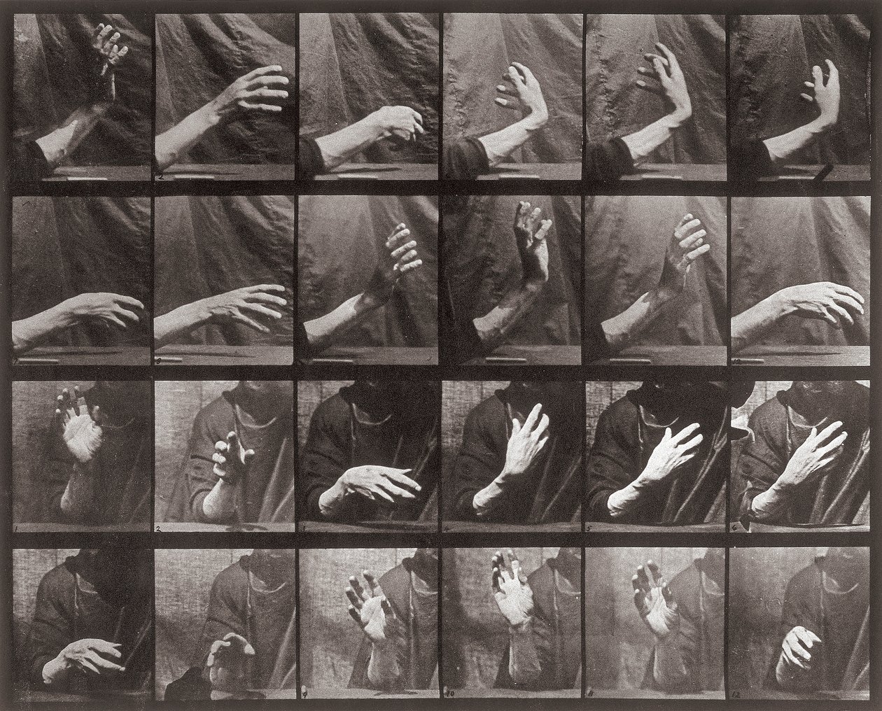 Secuencia con movimiento de mano, placa 535 de Animal Locomotion de Eadweard Muybridge