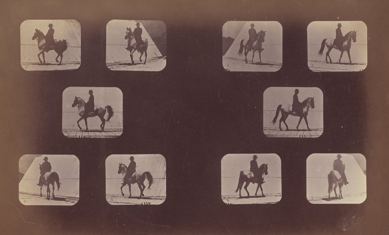 Estudios de escorzos. Caballos. Caminando. Mahoma. Nos. 119-120 de Eadweard Muybridge