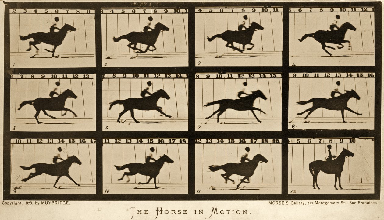 El caballo en movimiento, serie 