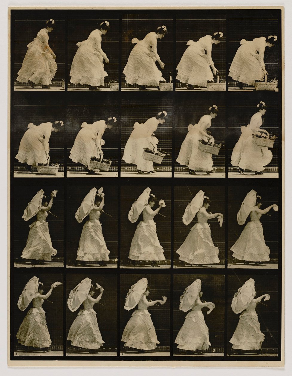 Mujer levantando una cesta, agitando un pañuelo, del libro Animal Locomotion de Eadweard Muybridge