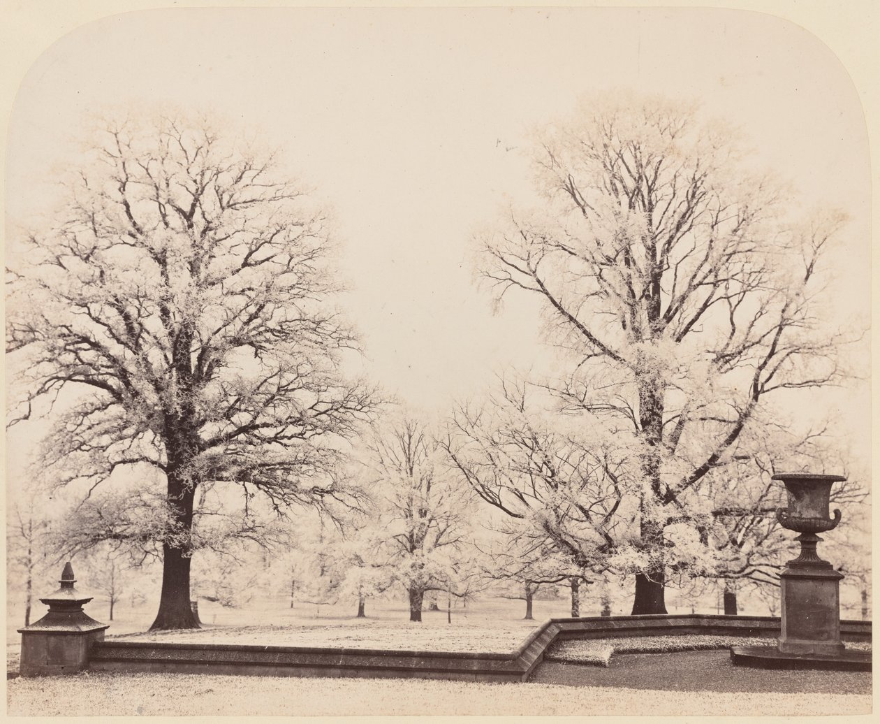 Hoarfrost, a Park Scene,1862 (foto) de Earl of Caithness