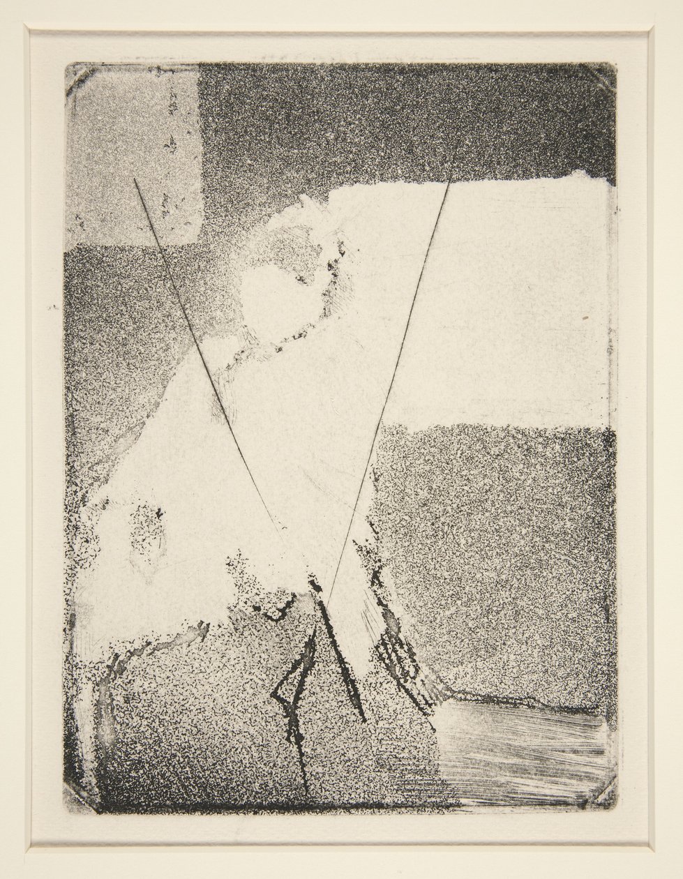 Mujer sentada con sombrero y chal, c.1879 de Edgar Degas