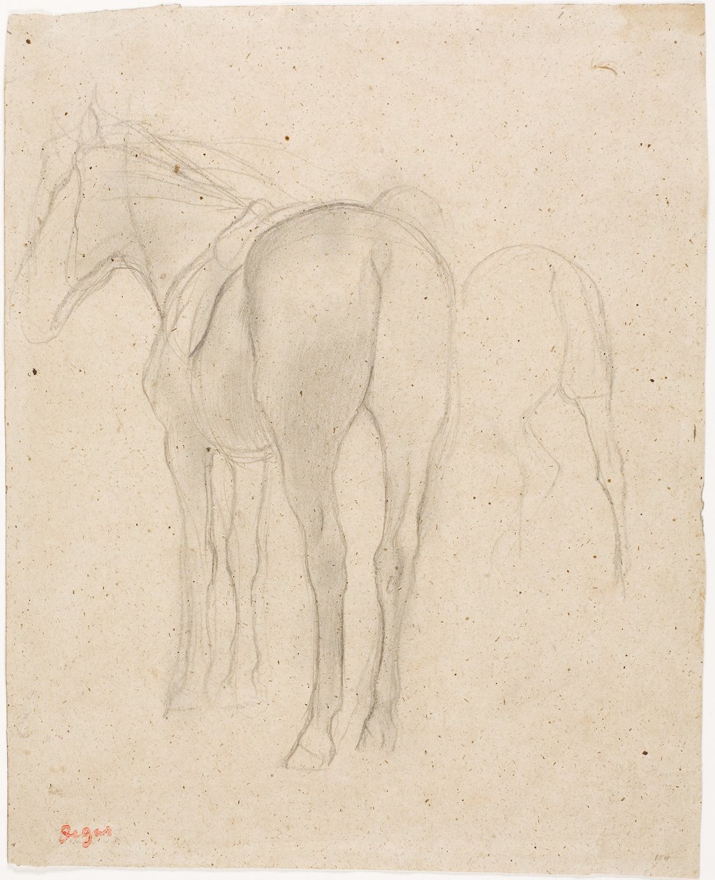 Estudios de un caballo de Edgar Degas