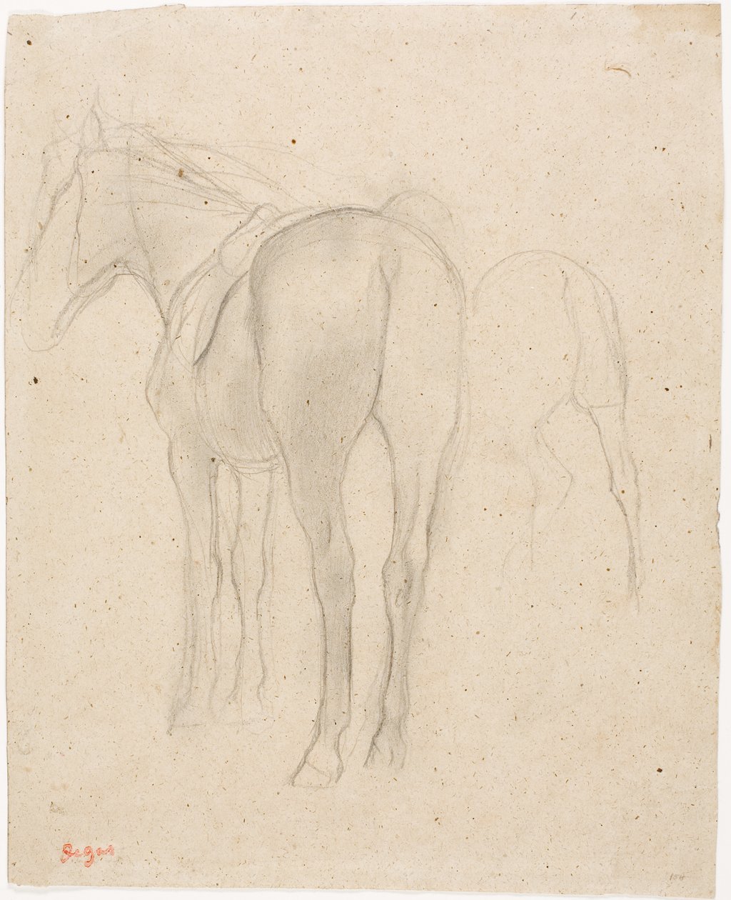 Estudios de un caballo de Edgar Degas