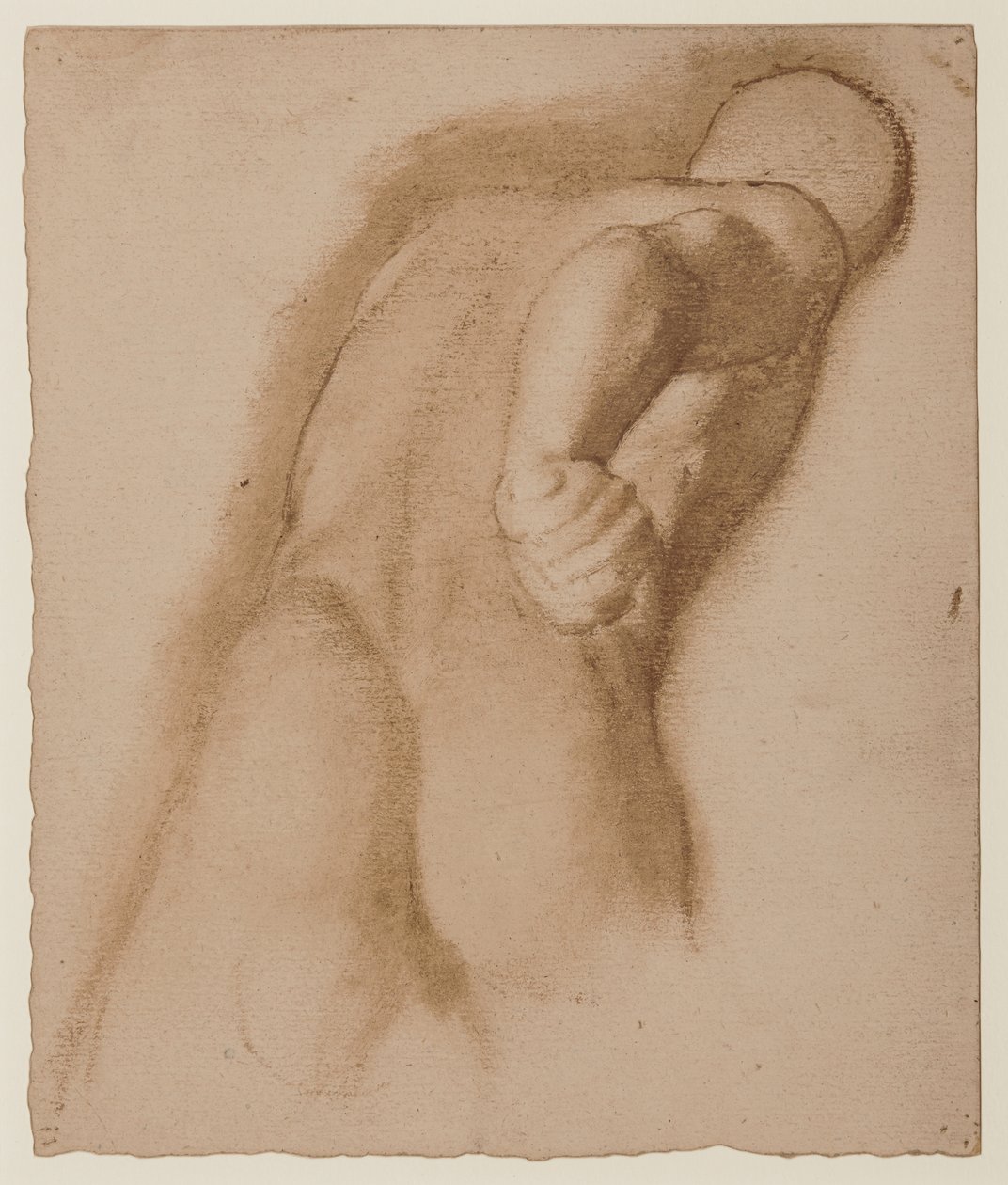 Estudio después de Agasias de Éfeso, "Gladiador Borghese", c.1855 de Edgar Degas
