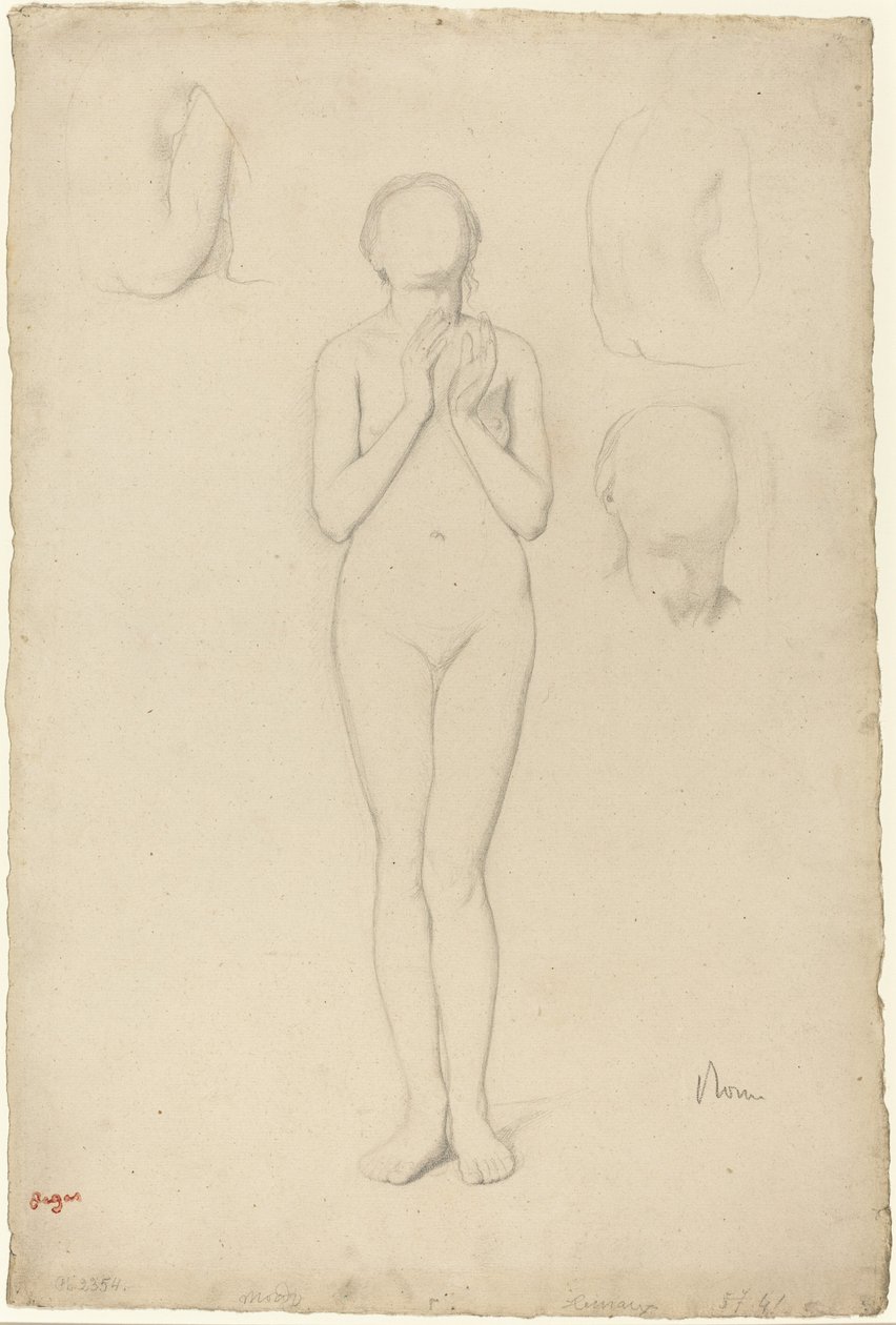 Estudio de un desnudo femenino, 1856-1858 de Edgar Degas