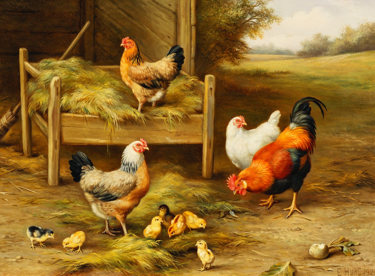 Alimentación de pollos y pollitos de Edgar Hunt
