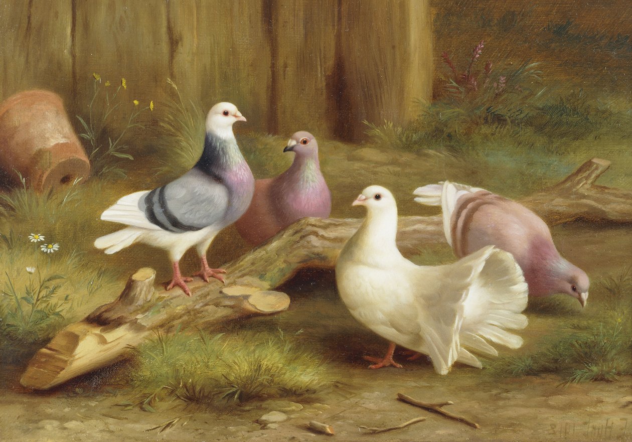 Palomas de Edgar Hunt