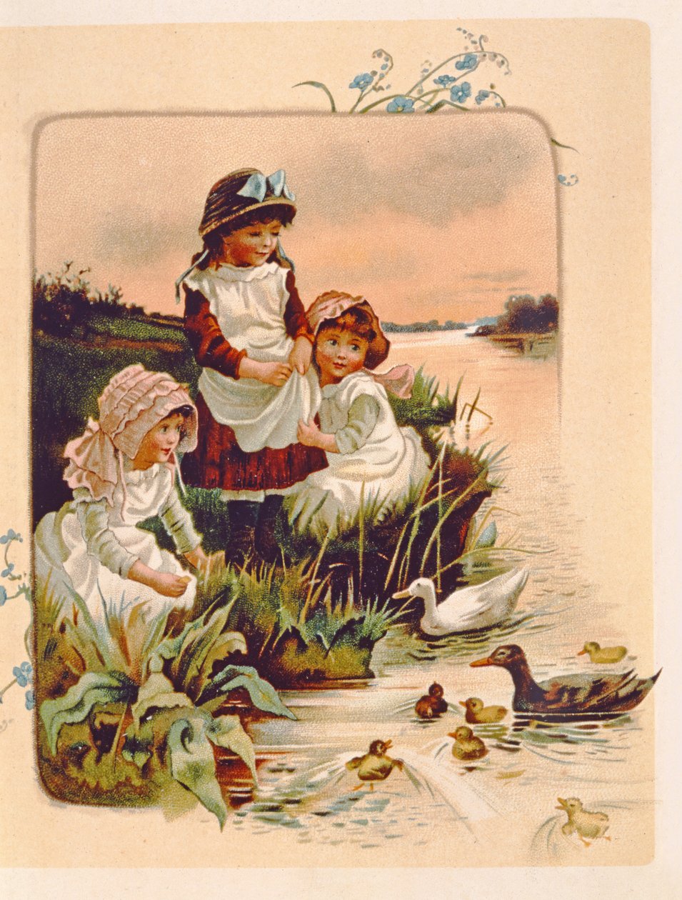 Alimentando patos, ilustración de 