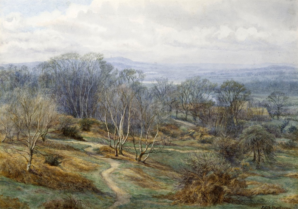 Hampstead Heath mirando hacia Harrow on the Hill, c.1880 de Edith Martineau