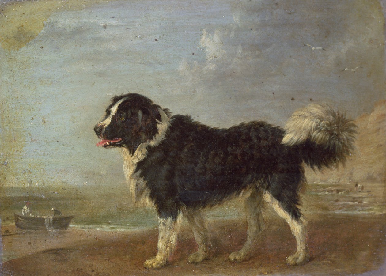 Imagen Desconocida de Edmund Bristow
