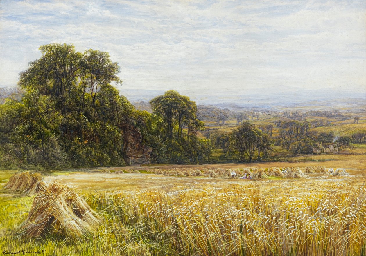 Tiempo de cosecha (acuarela) de Edmund George Warren