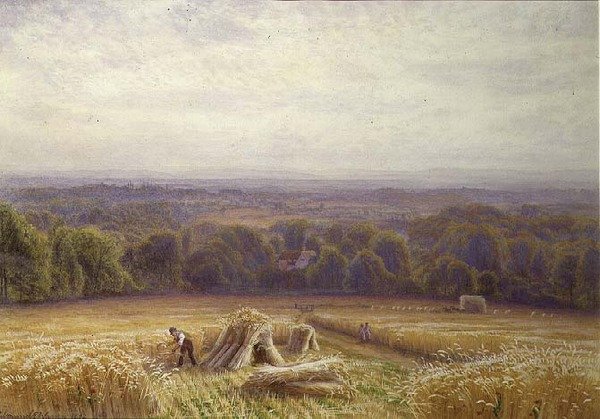 Cosecha de Edmund George Warren